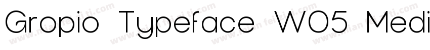 Gropio Typeface W05 Medium字体转换